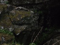 otta Intraleo-20100515 018